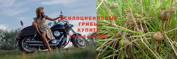 кокаин VHQ Белокуриха