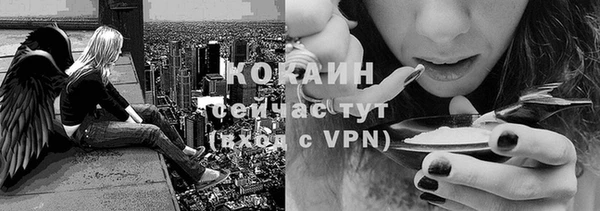 гидра Белоозёрский