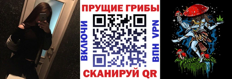 Псилоцибиновые грибы Cubensis  наркошоп  Смоленск 